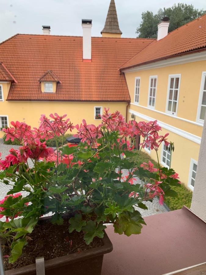 Zamek Jindrichovice Hotel Kolinec Eksteriør billede